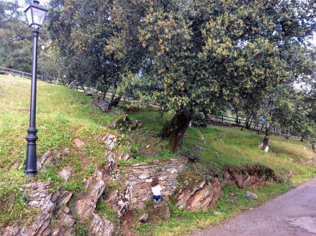 Casa Mandarina Aracena Villa Bagian luar foto
